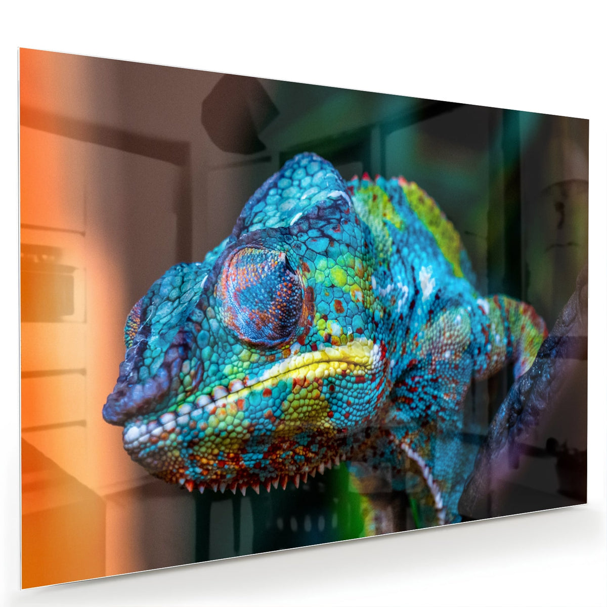 Glazen schilderij van een kleurrijk chameleon hangt aan de muur