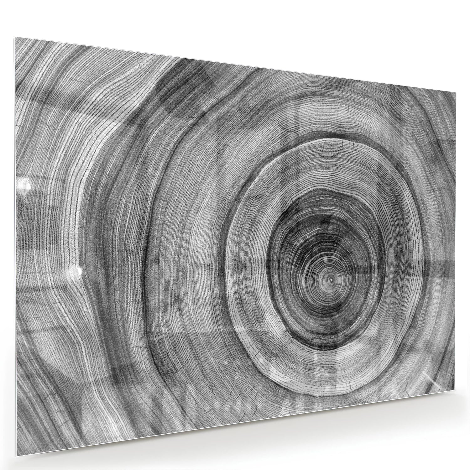 Abstract glazen schilderij in grijstinten met cirkels aan de muur