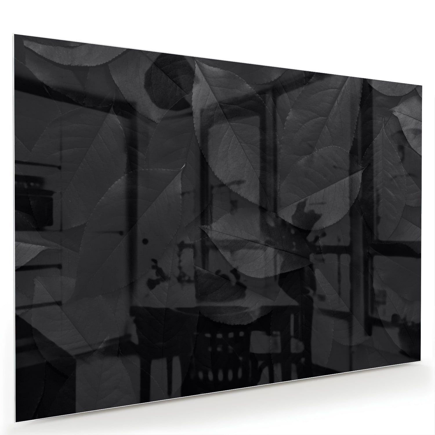 Glazen schilderij met bladeren in zwart en grijs, stijlvol in een moderne woonkamer.