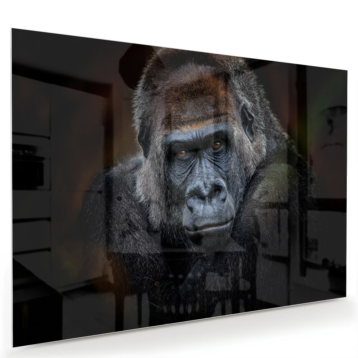Glazen schilderij van een gorilla in een moderne woonkamer.