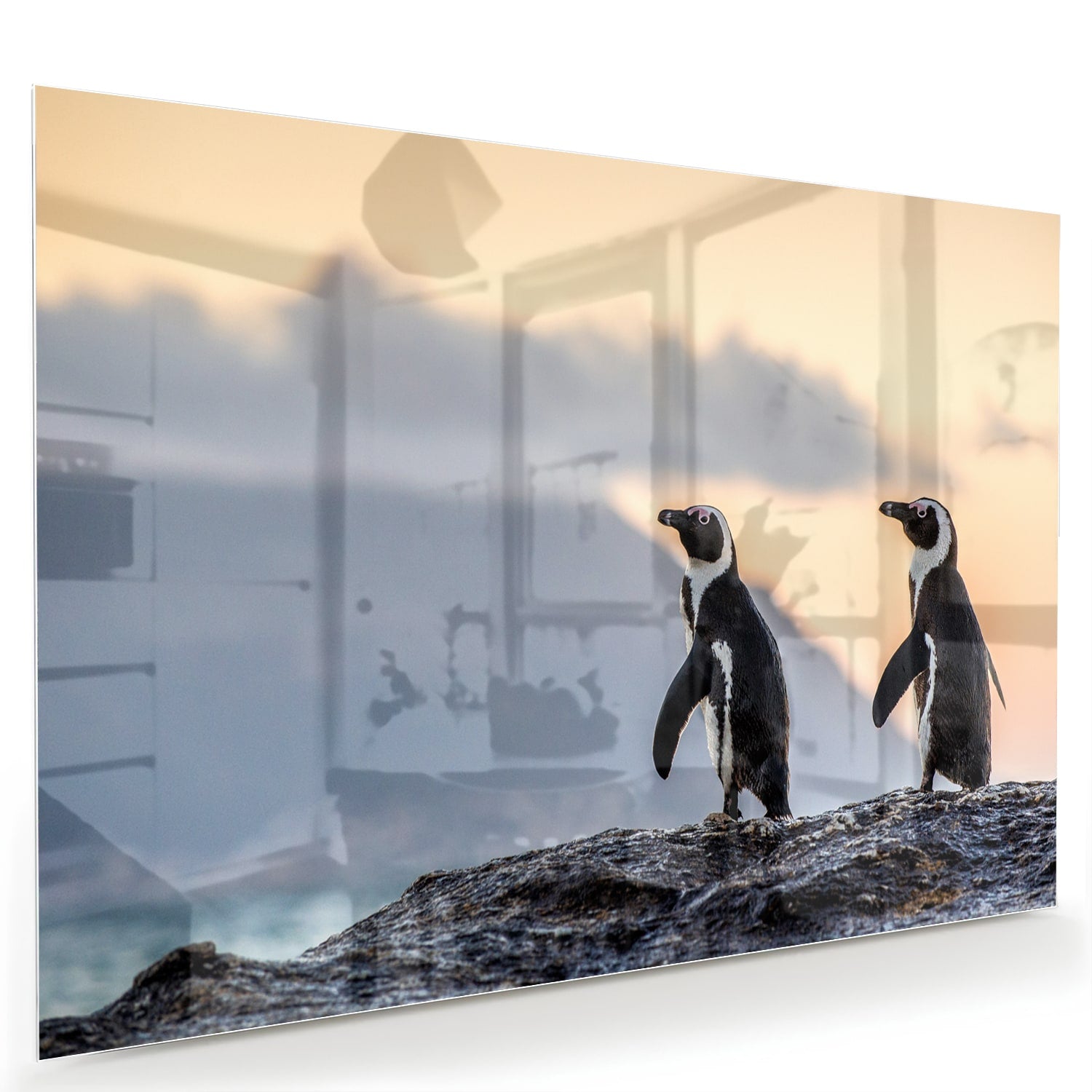 Glazen schilderij van pinguns aan zee met een zonsondergang op de achtergrond