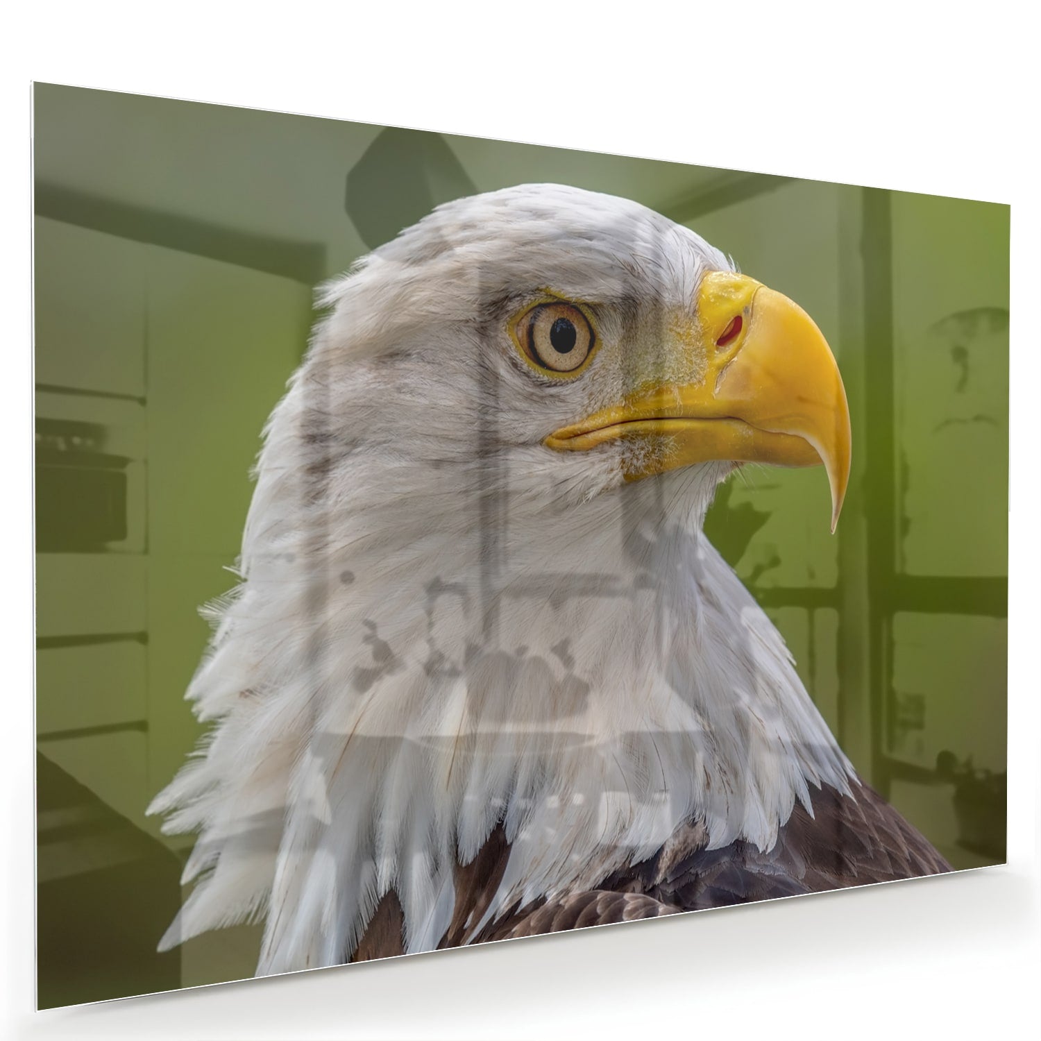 Een prachtig glazen schilderij van een Amerikaanse zeearend met een groene achtergrond.