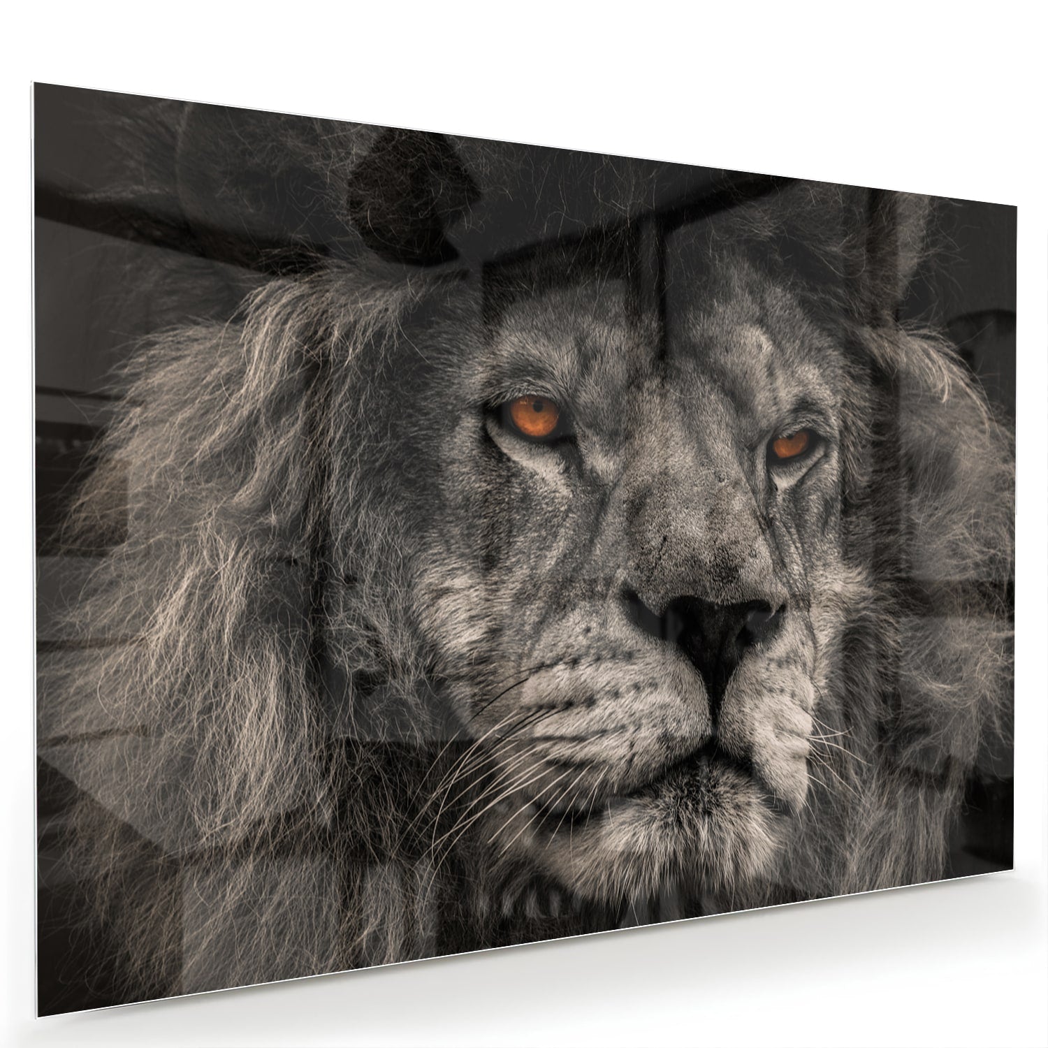 Glazen schilderij van een majestueuze leeuw in zwart-wit, perfect als wanddecoratie.