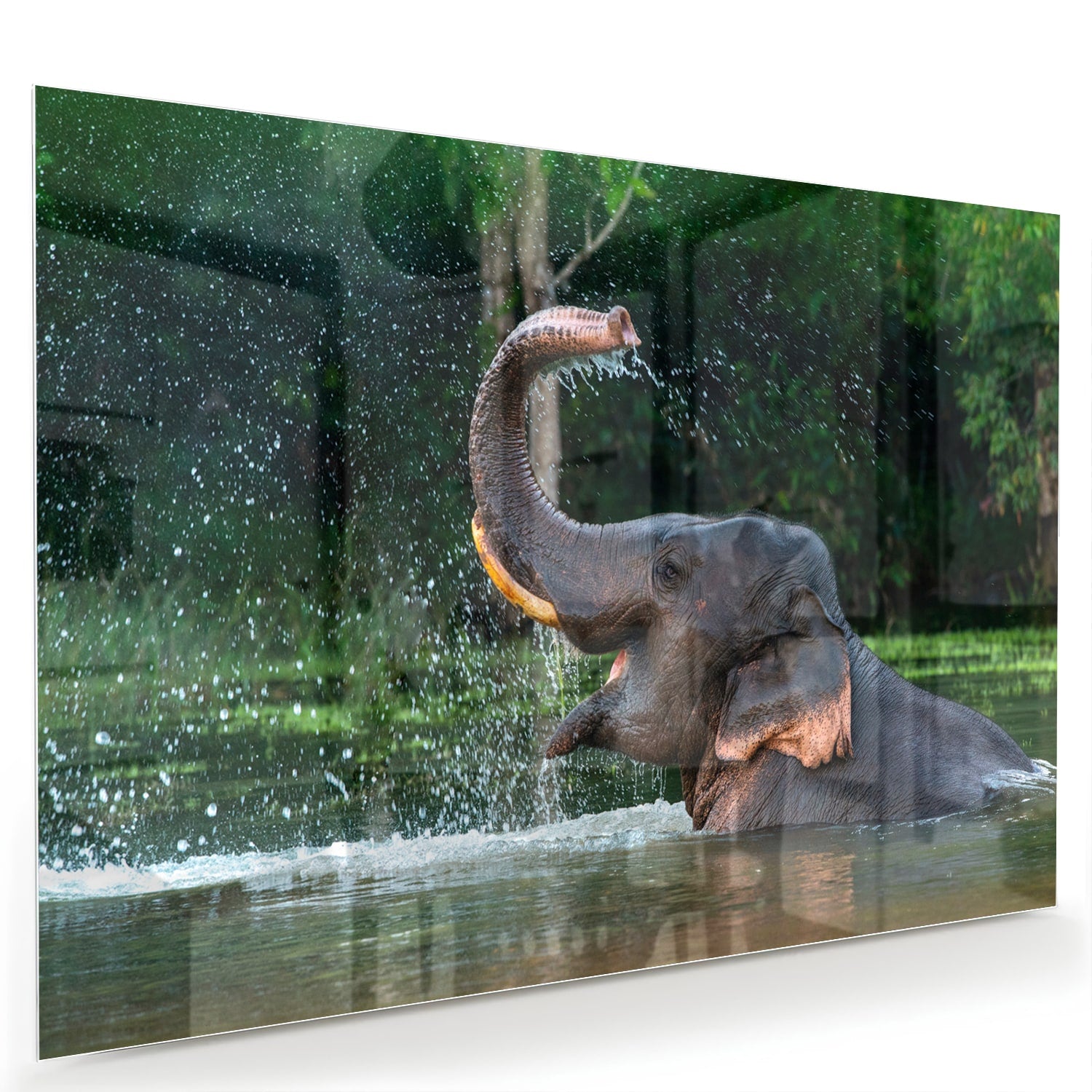 Glazen schilderij van een olifant die speelt in het water