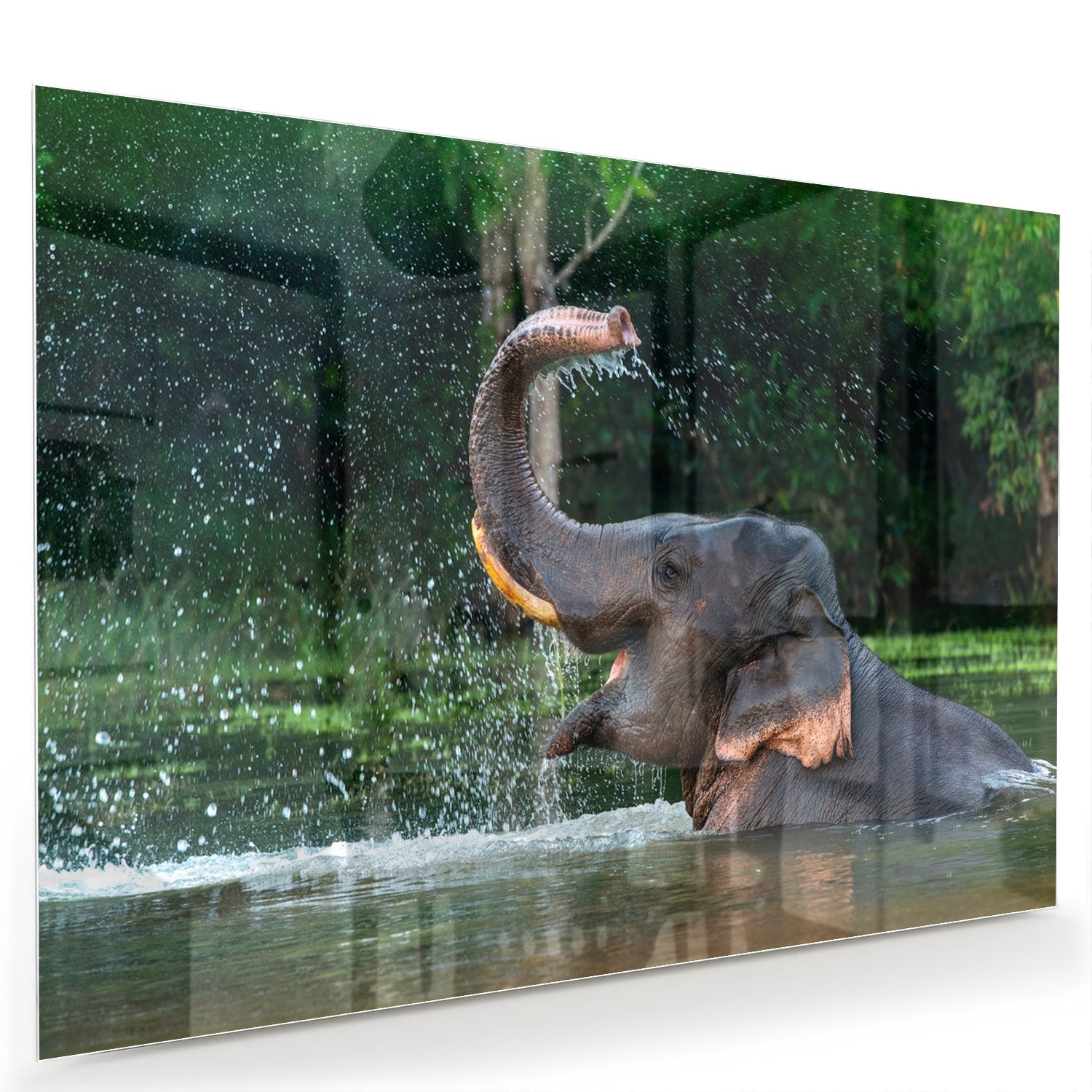 Glazen schilderij van een olifant die speelt in het water
