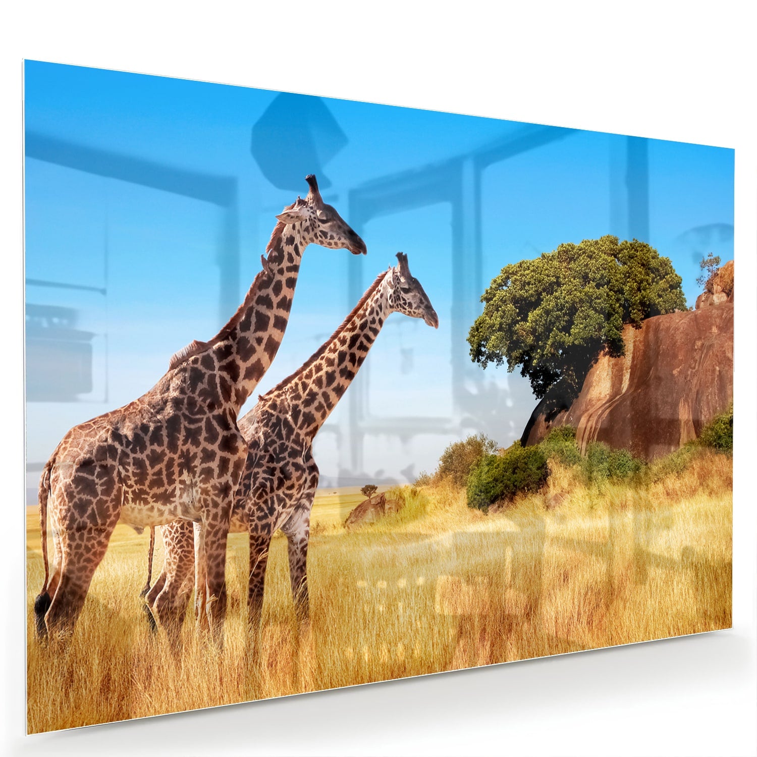 Glazen schilderij van twee giraffen in een Afrikaans landschap