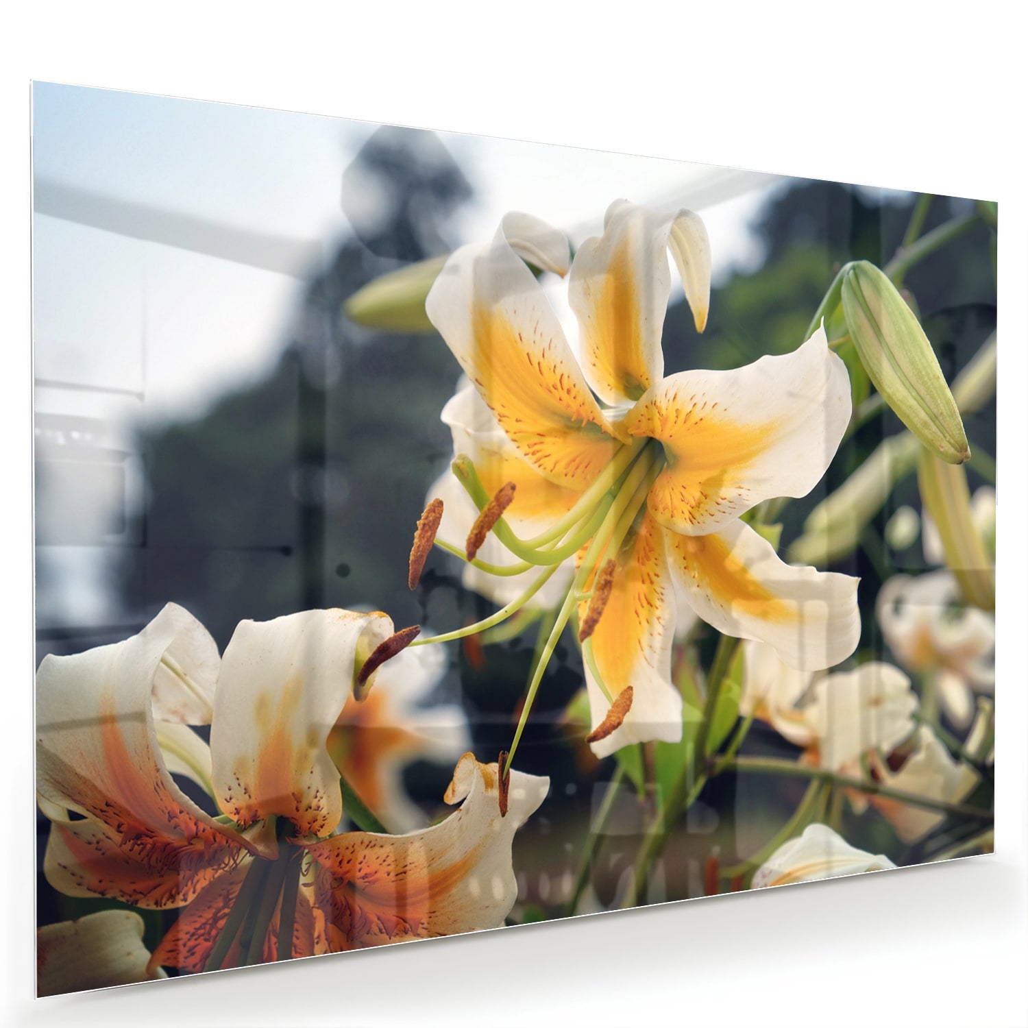 Glazen schilderij met lelies in een elegant interieur