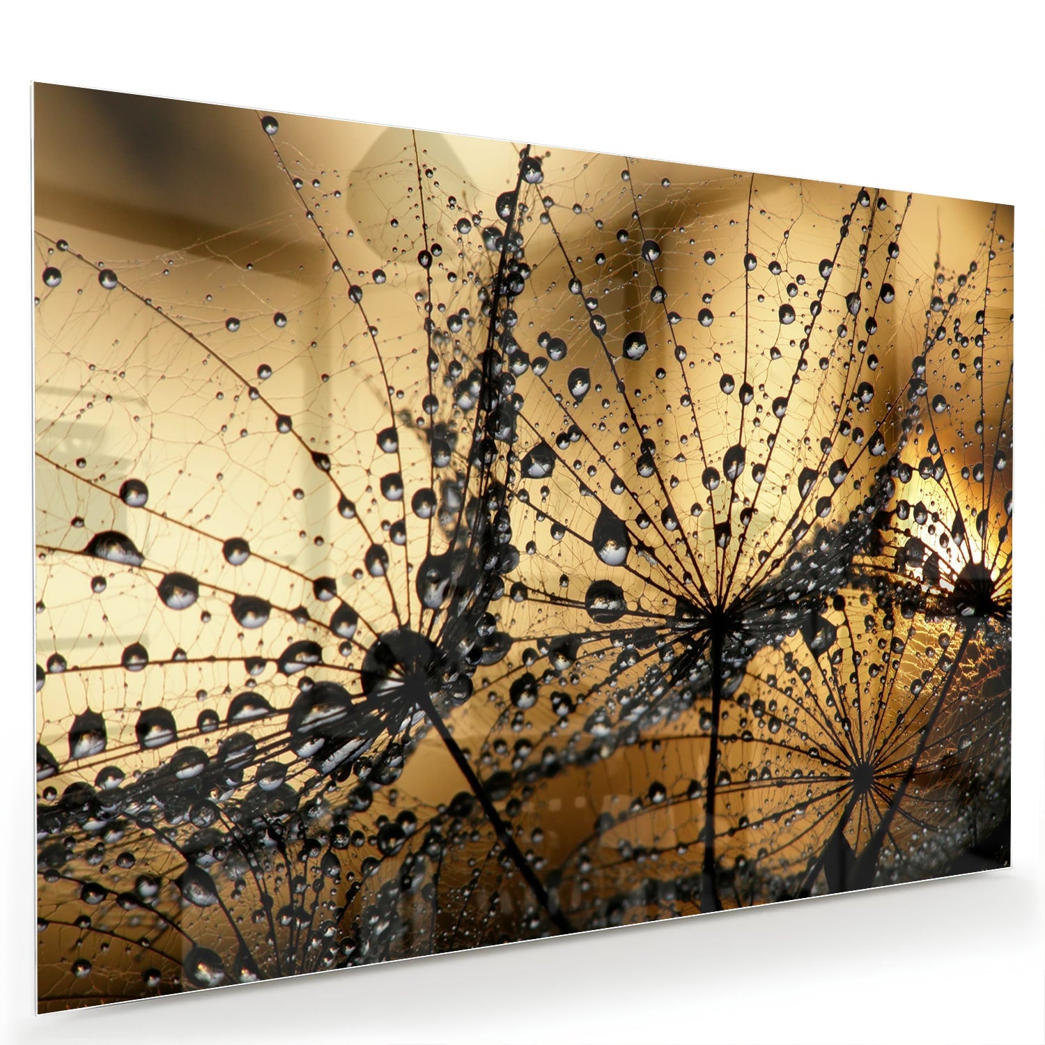 Glazen schilderij met gouden waterdruppels op een lichte muur.