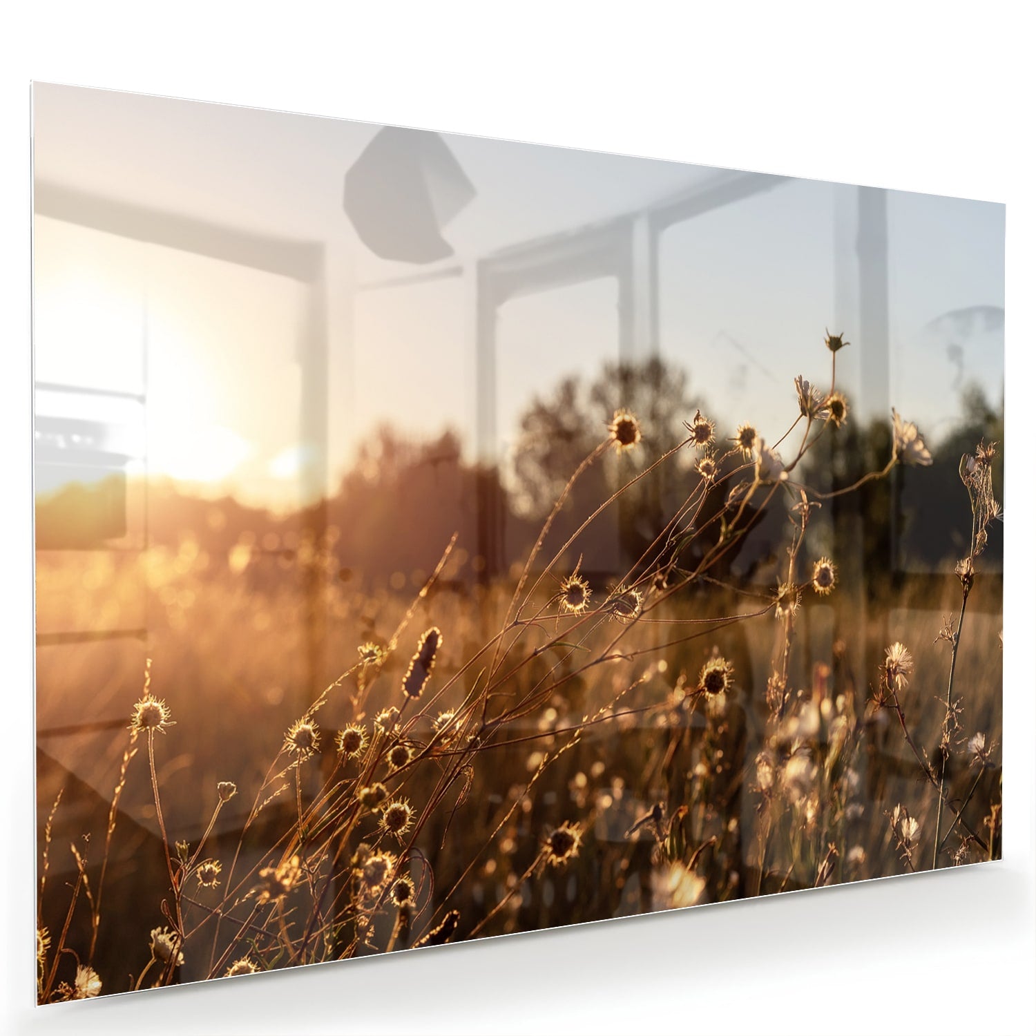 Glazen schilderij van een zonsondergang met bloeiende bloemen, hangend aan een witte muur.