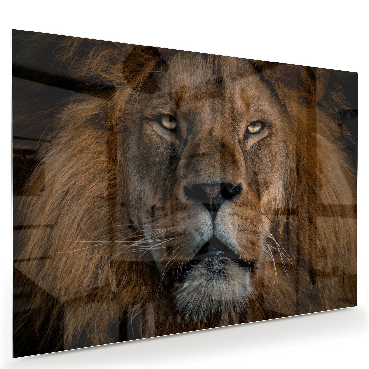 Glazen schilderij van een leeuw, een krachtige uitstraling voor de wand.