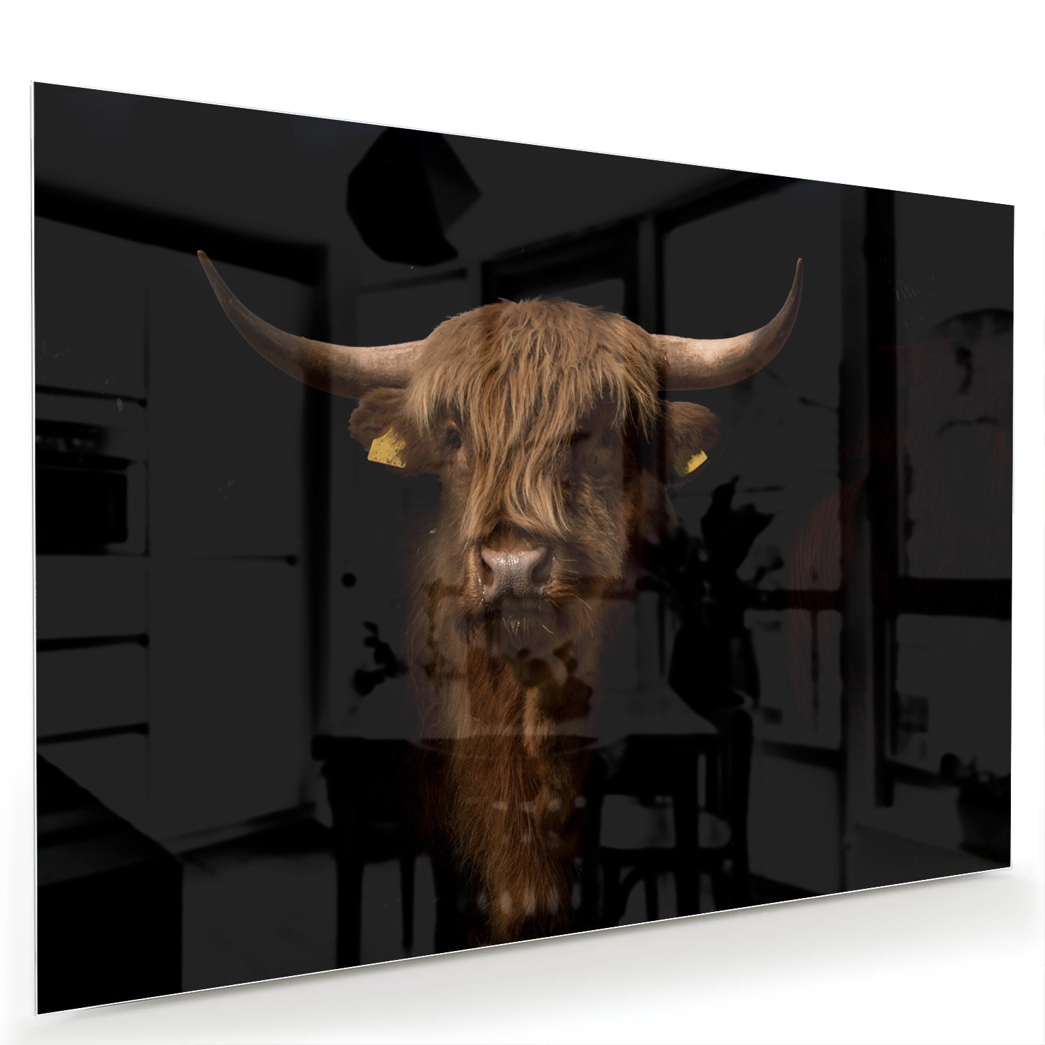 Glazen schilderij van een hooglander, een krachtige uitstraling in interieurdecoratie.