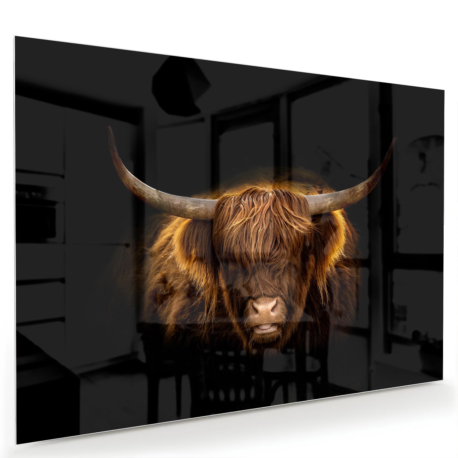 Glazen schilderij van een Highlander rund met lange hoorns en vacht op een zwarte achtergrond.
