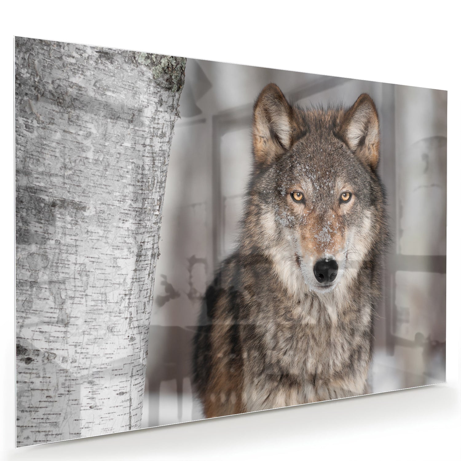 Glazen schilderij van een wolf met indrukwekkende blik in een interieur