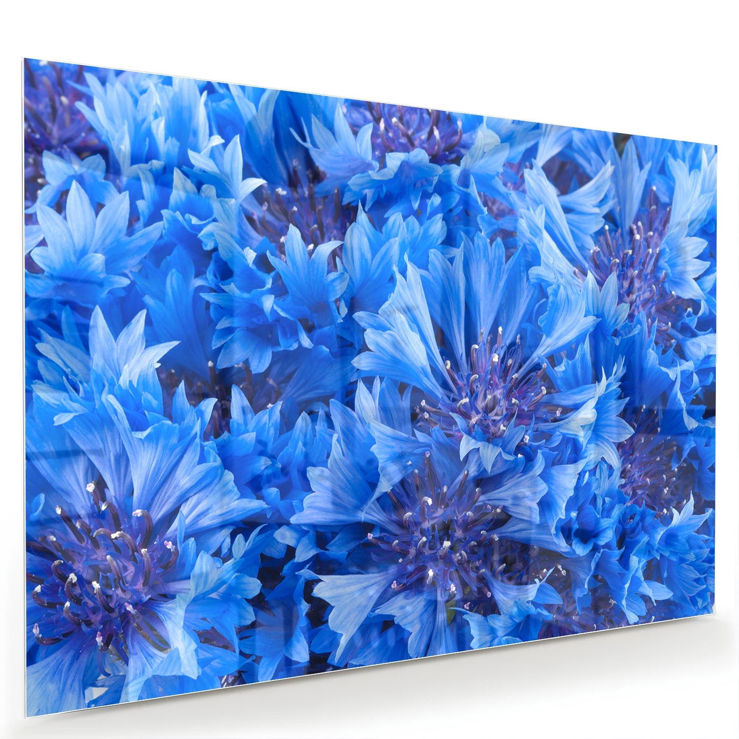 Glazen schilderij met een prachtig blauw bloemenmotief aan de muur