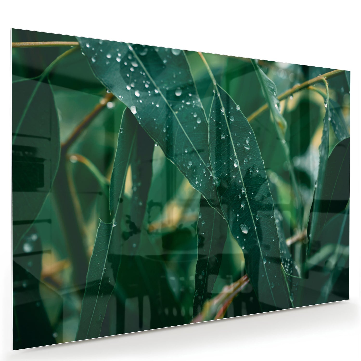 Glas schilderij van groene bladeren met dauwdruppels in een interieur