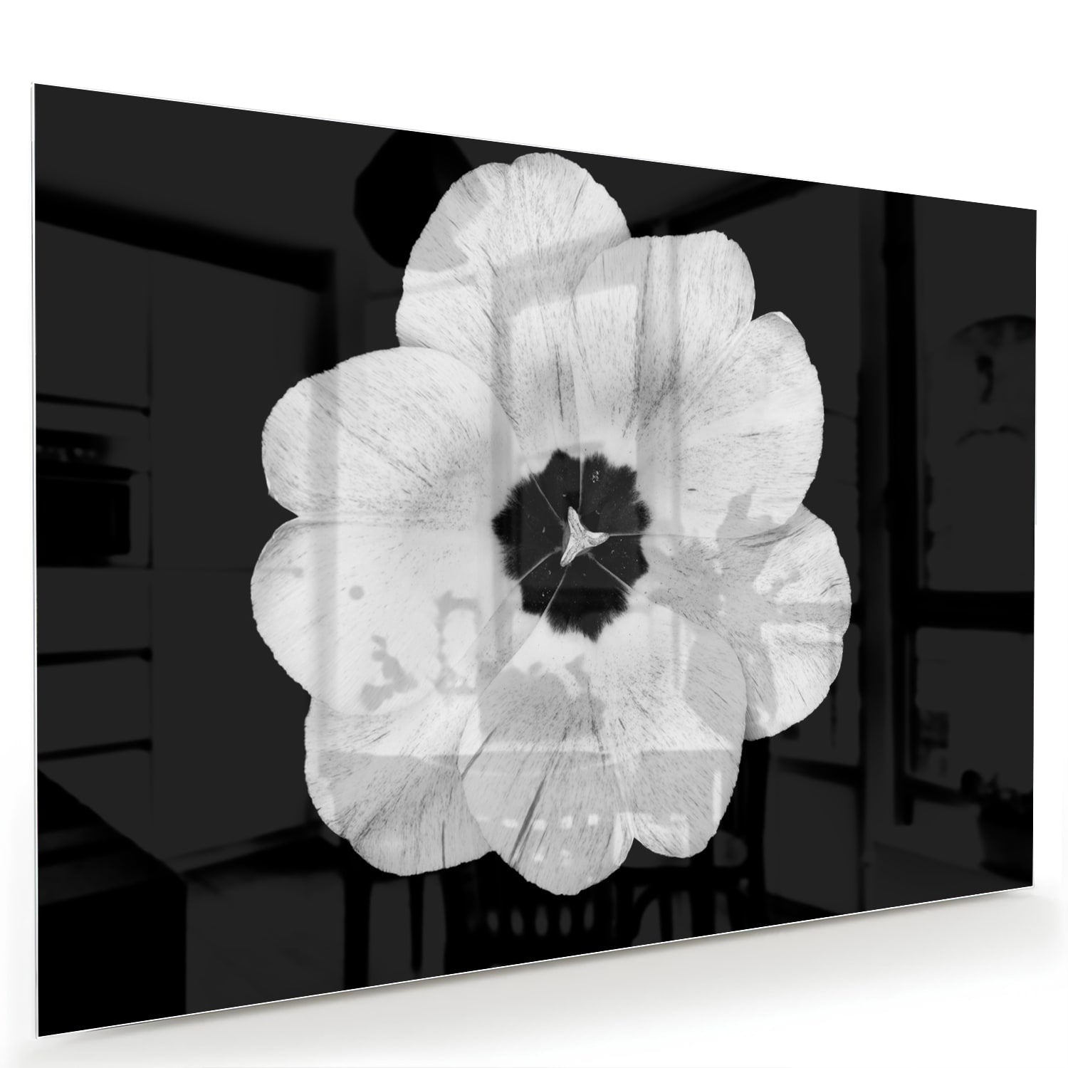 Een glazen schilderij met een witte bloem op een zwarte achtergrond, hangend aan de muur.