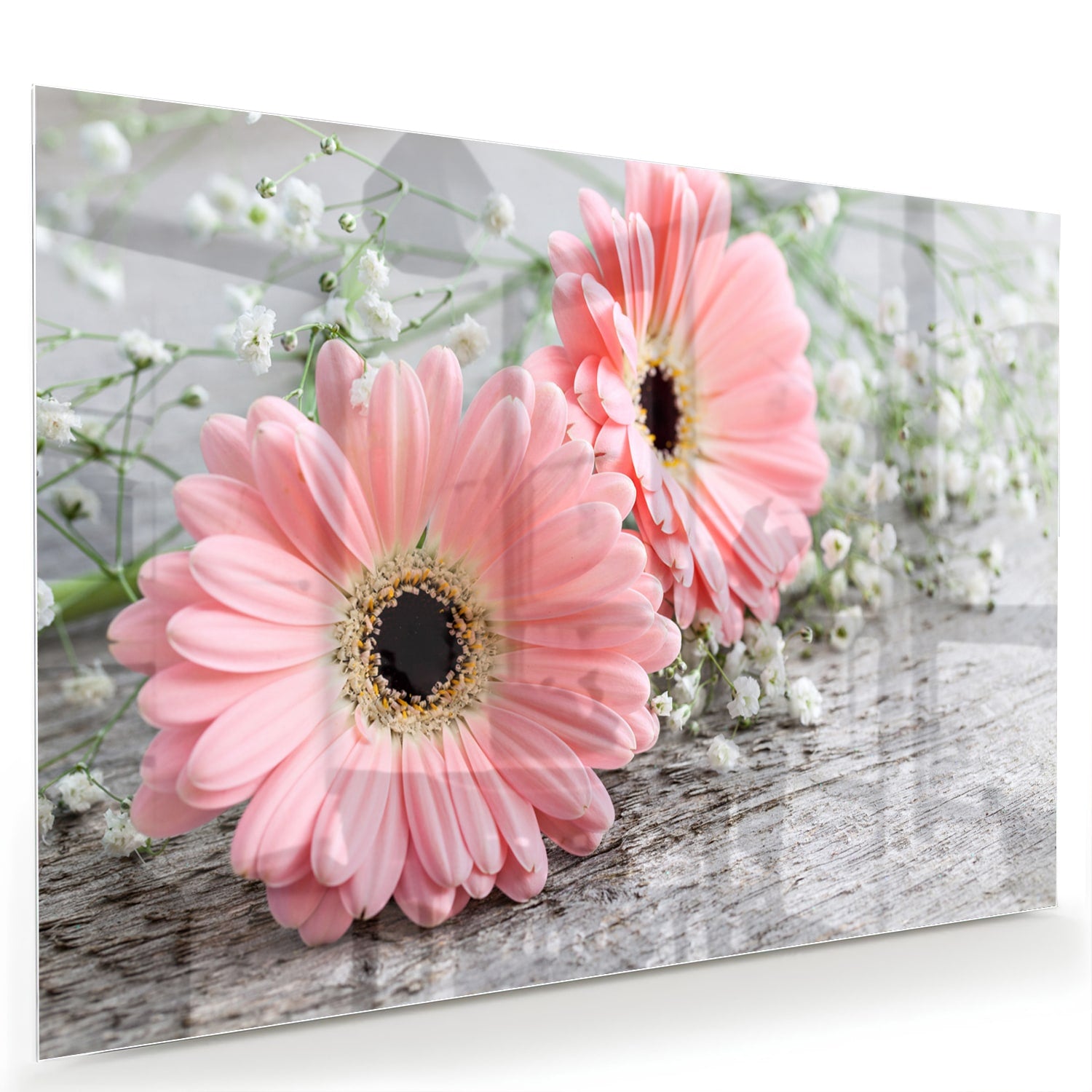 Roze gerbera's op een glazen schilderij, ideaal voor je woonkamer