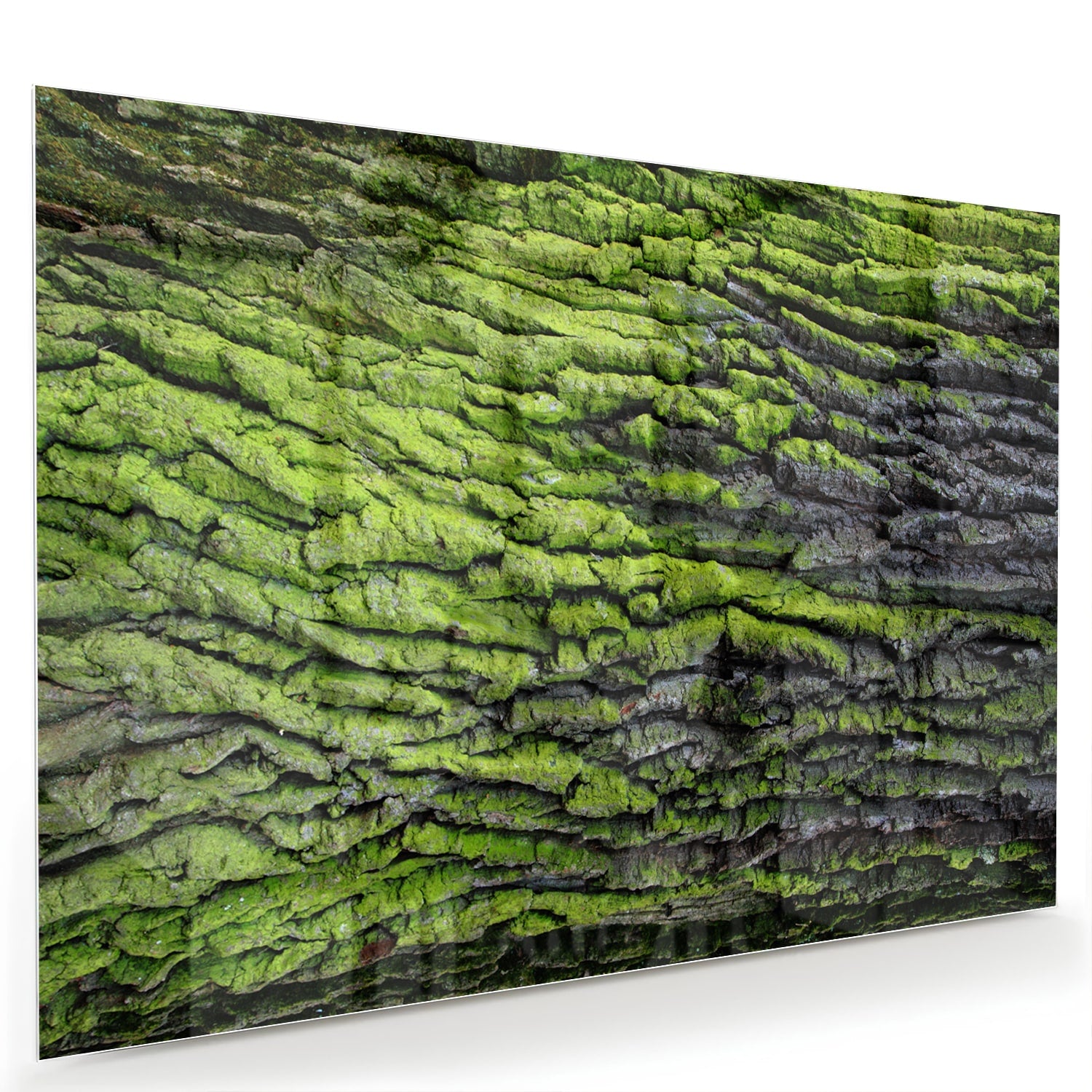 Glazen schilderij met groene mosachtige textuur aan een muur