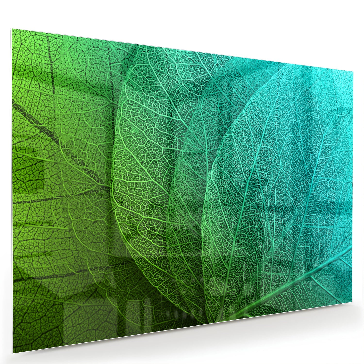 Glas schilderij met de structuur van groene bladeren aan een muur.
