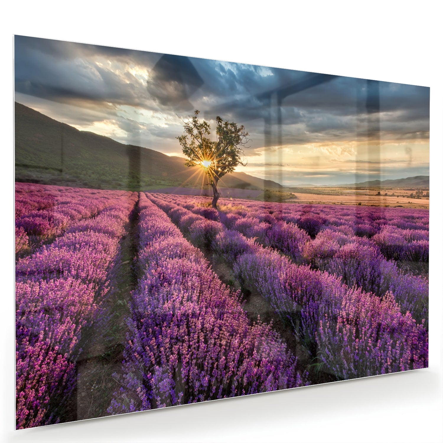 Glazen schilderij van paarse lavendelvelden tijdens de zonsondergang