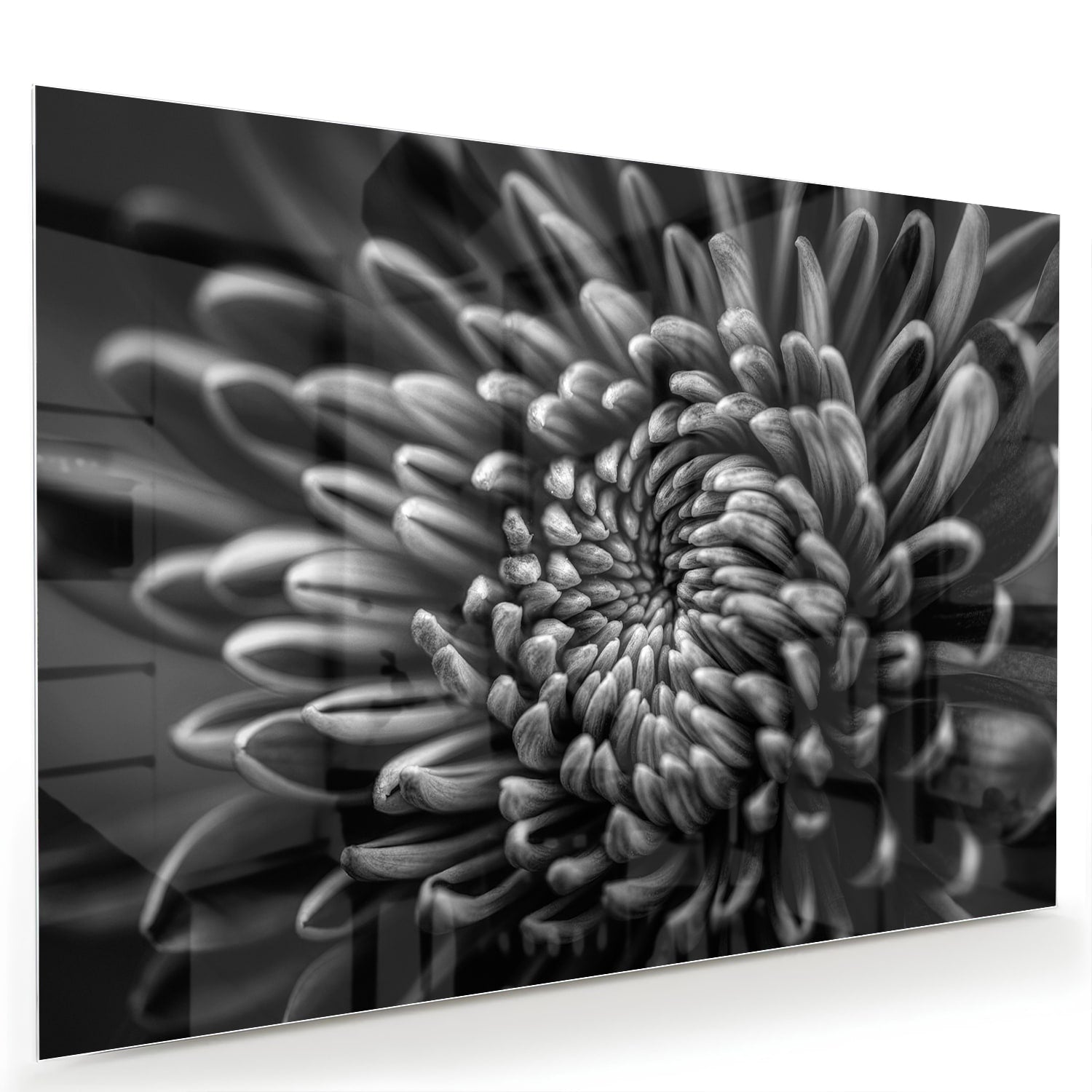 Zwart-wit glas schilderij van een kronkelige bloem aan de muur.