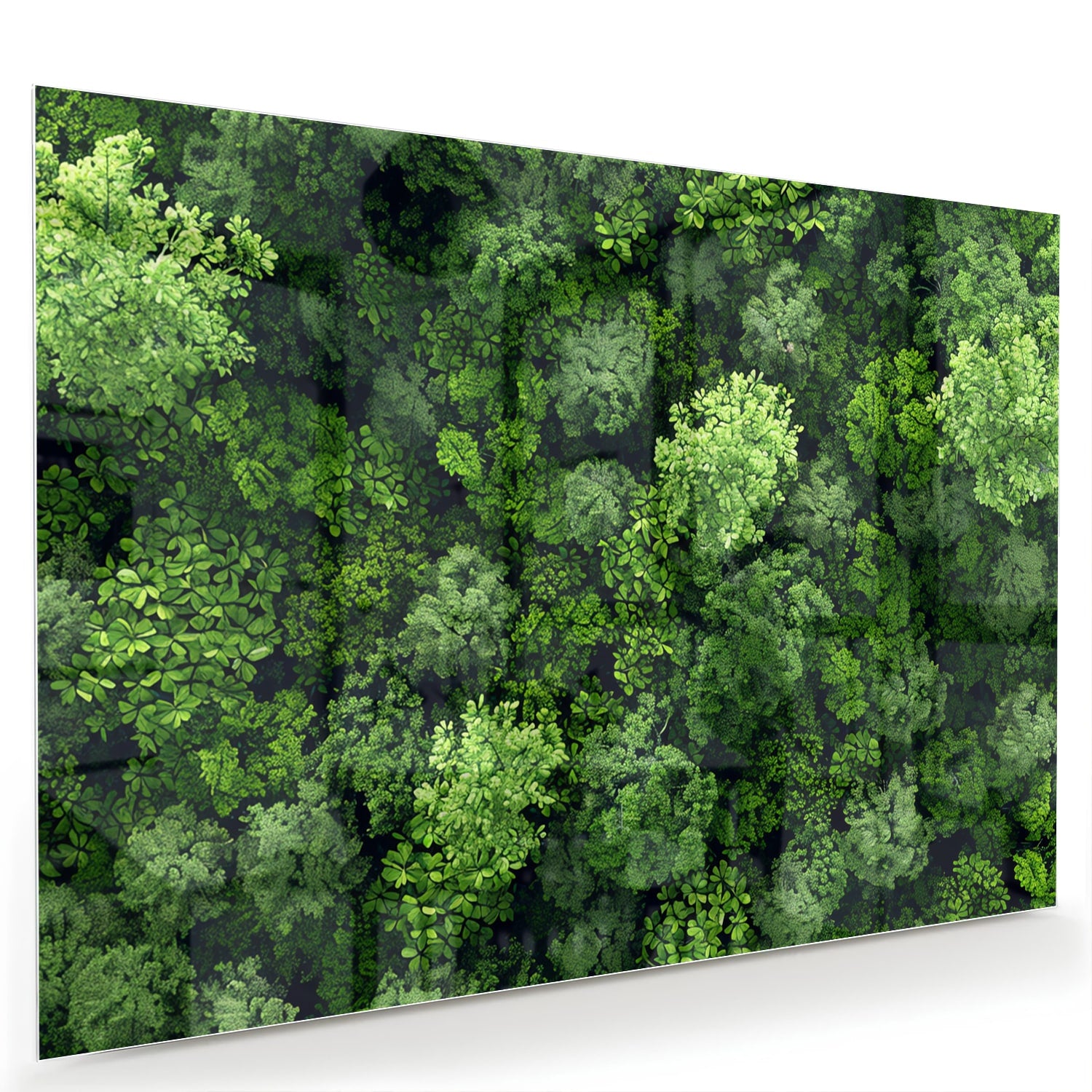 Luchtfoto van een weelderig groen bos op een muur in een moderne kamer.