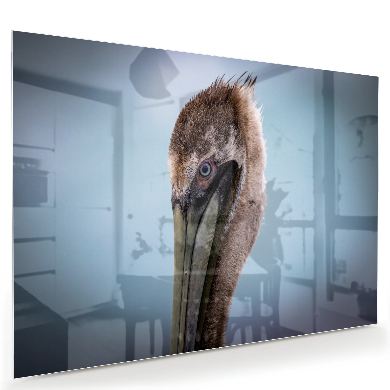 Glazen schilderij van een pelikan met een elegant design in een moderne woonkamer.