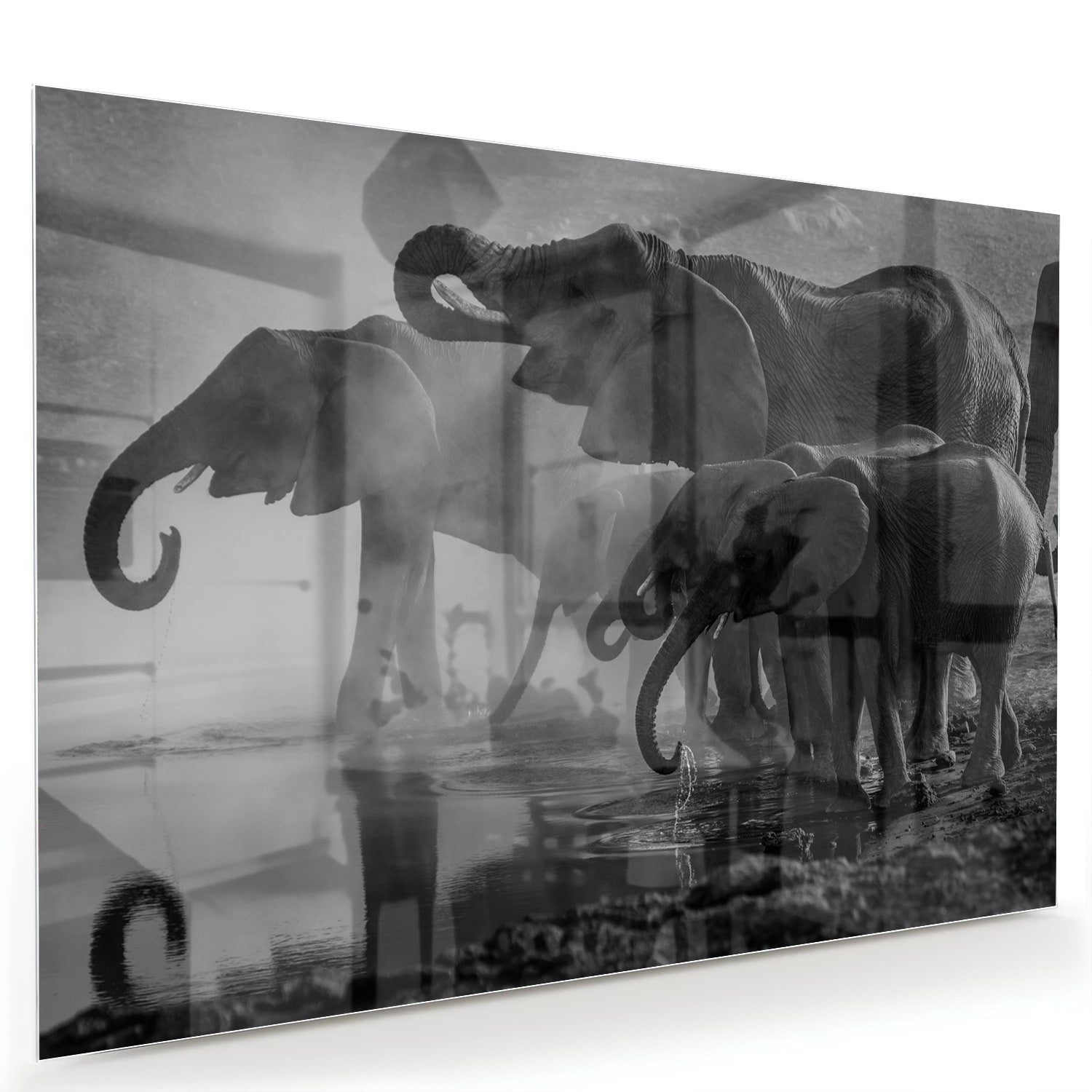 Glazen schilderij van olifanten in een moderne woonkamer