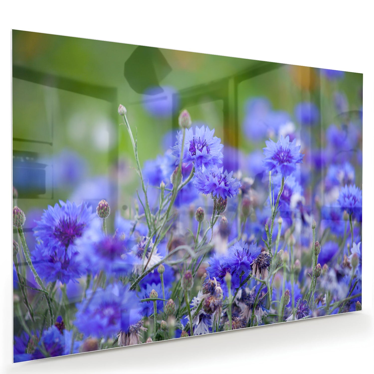 Glazen schilderij met paarse bloemen aan de muur in een lichte woonkamer.