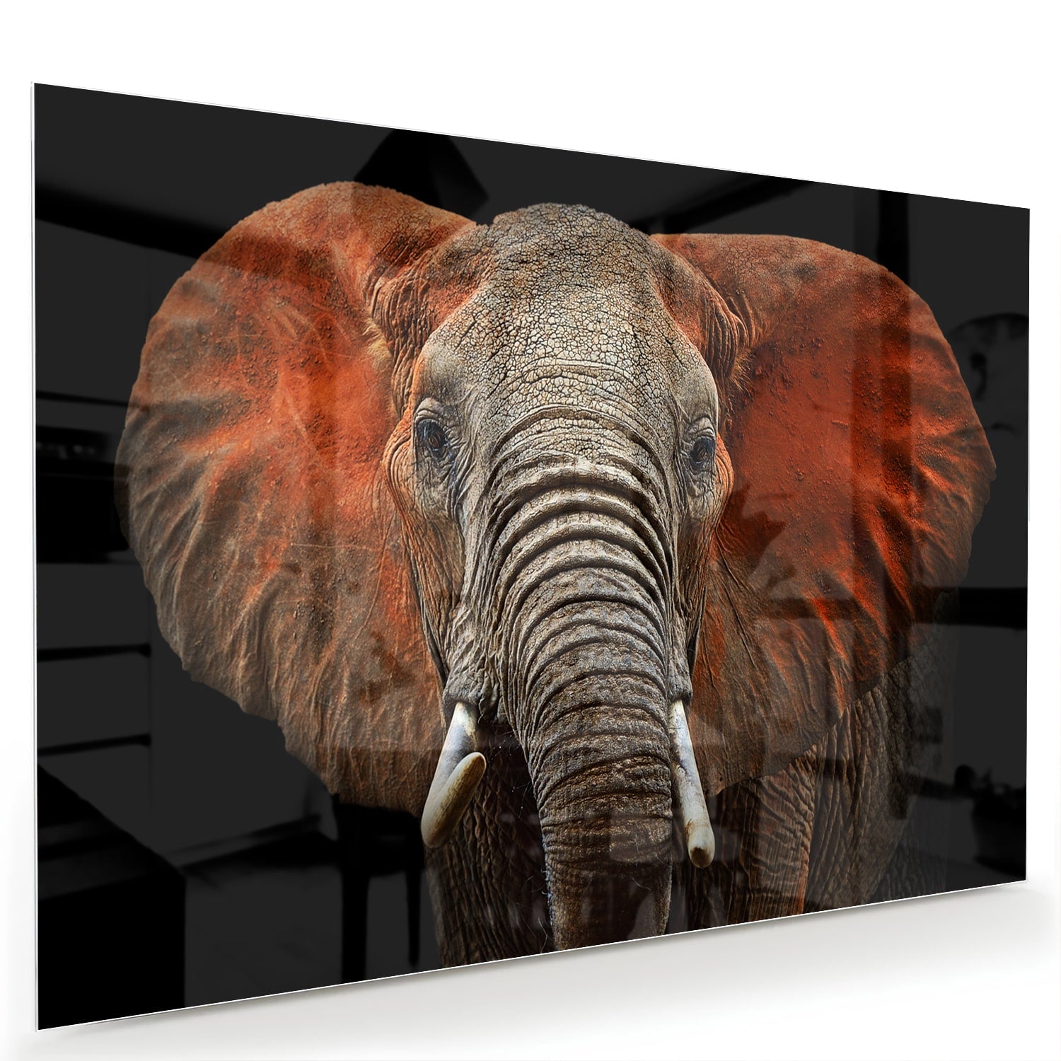 Glazen schilderij van een olifant met kleurrijke oren, prachtig voor aan de muur.