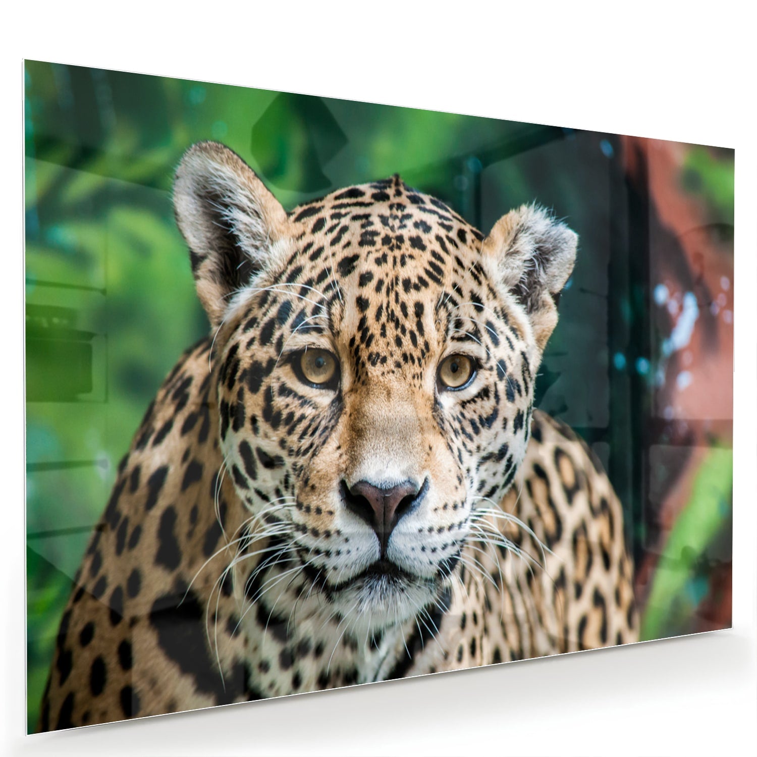 Glazen schilderij van een jaguar dat aan de muur hangt in een moderne woonkamer.
