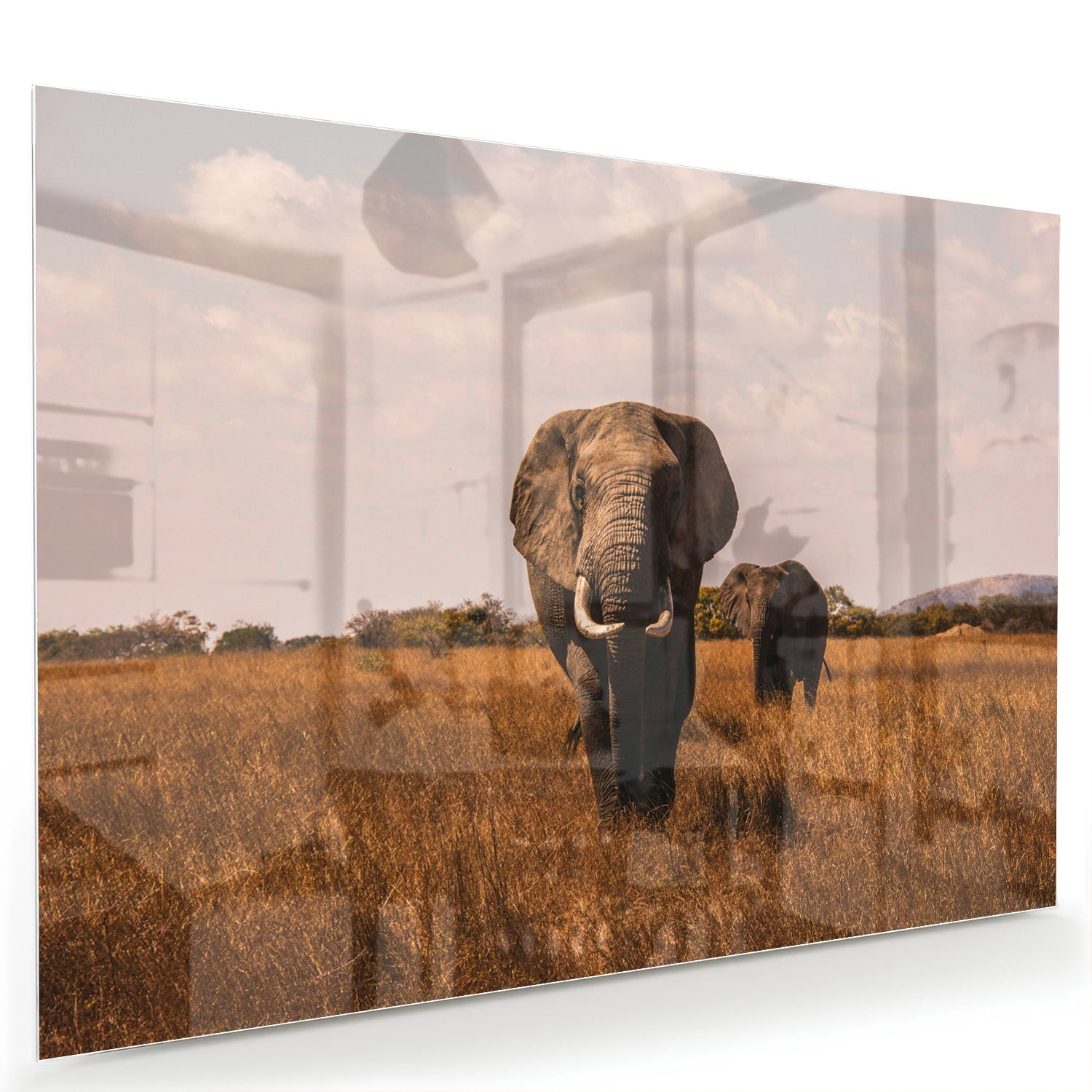 Glazen schilderij van twee olifanten in een gouden graslandschap