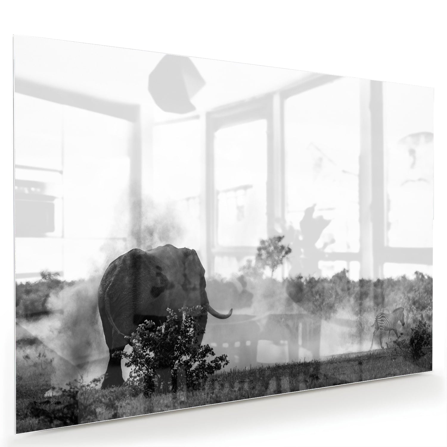 Zwart-wit glazen schilderij van een olifant aan de muur in een modern interieur.
