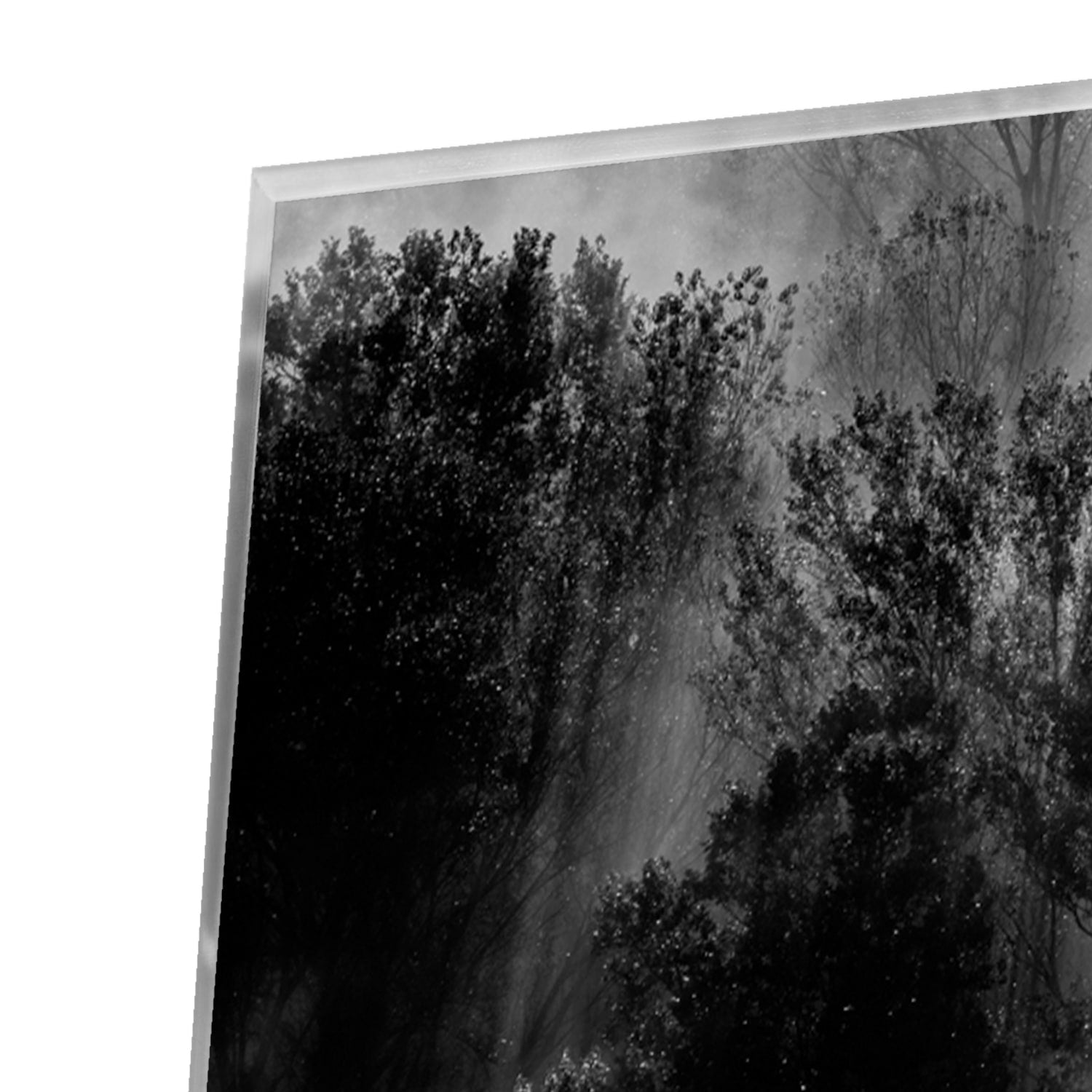 Glazen schilderij met een abstract zwart-wit landschap van bomen in de mist.