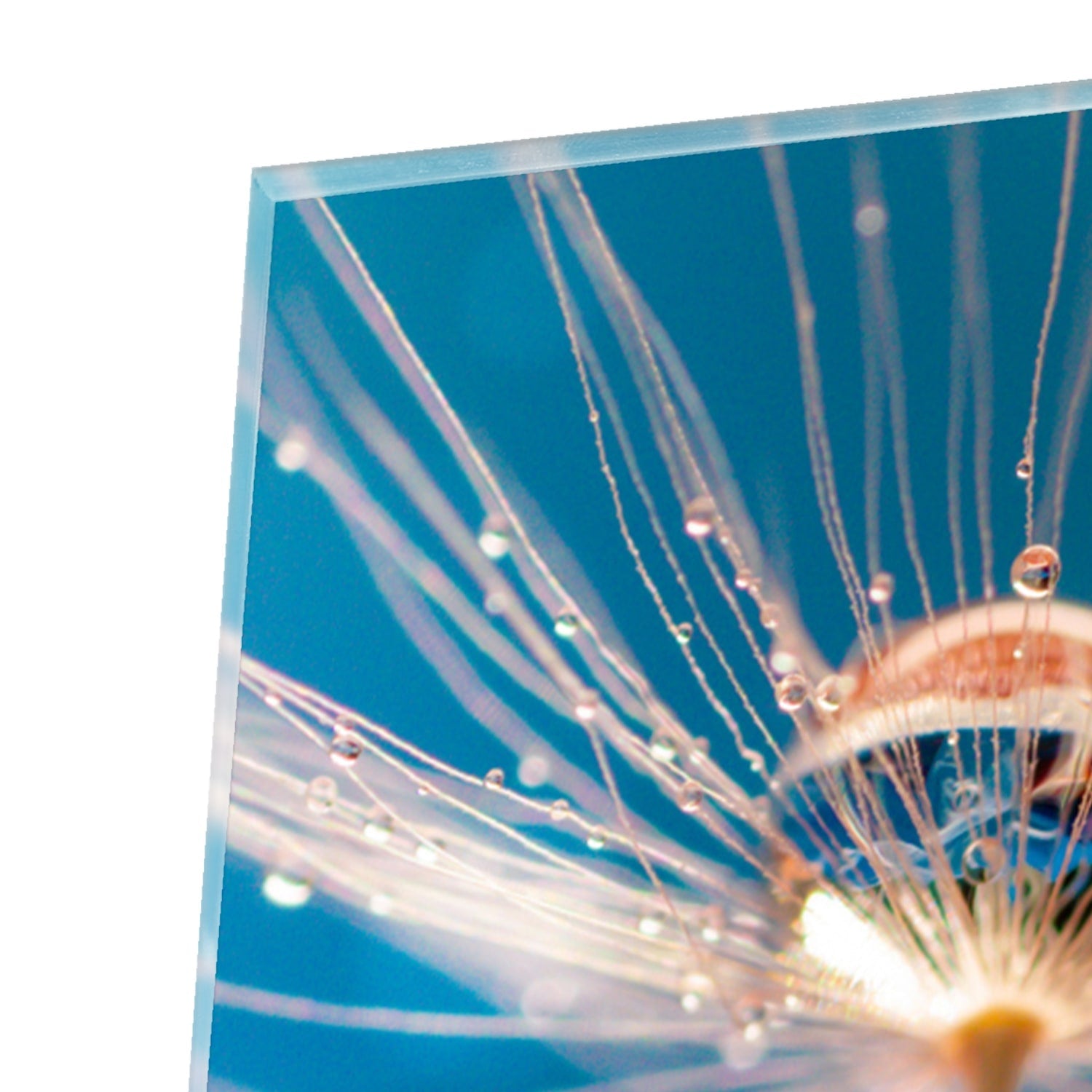 Glazen schilderij van een dandelion op een blauwe achtergrond