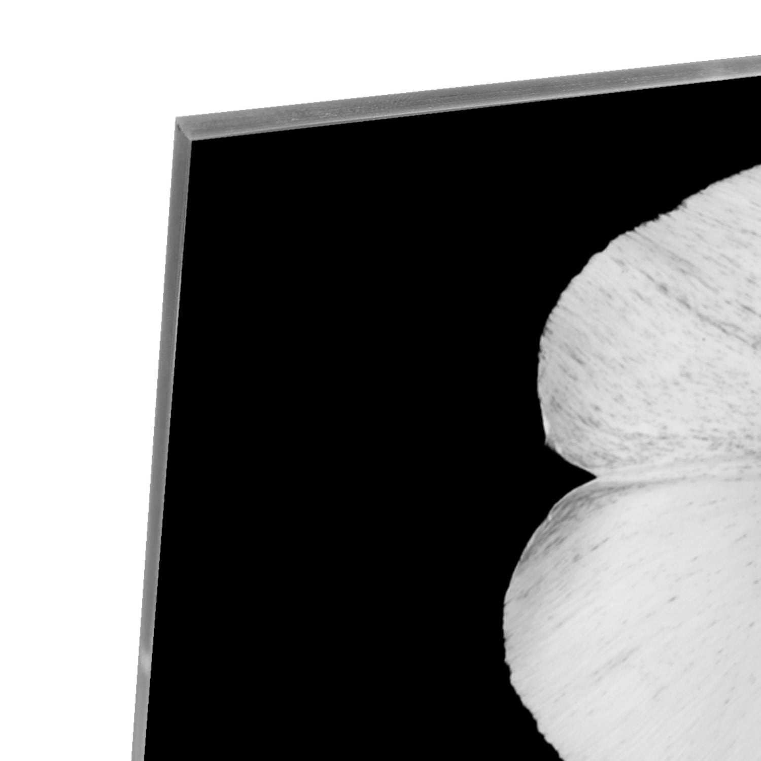 Een glazen schilderij met een witte bloem op een zwarte achtergrond, hangend aan de muur.