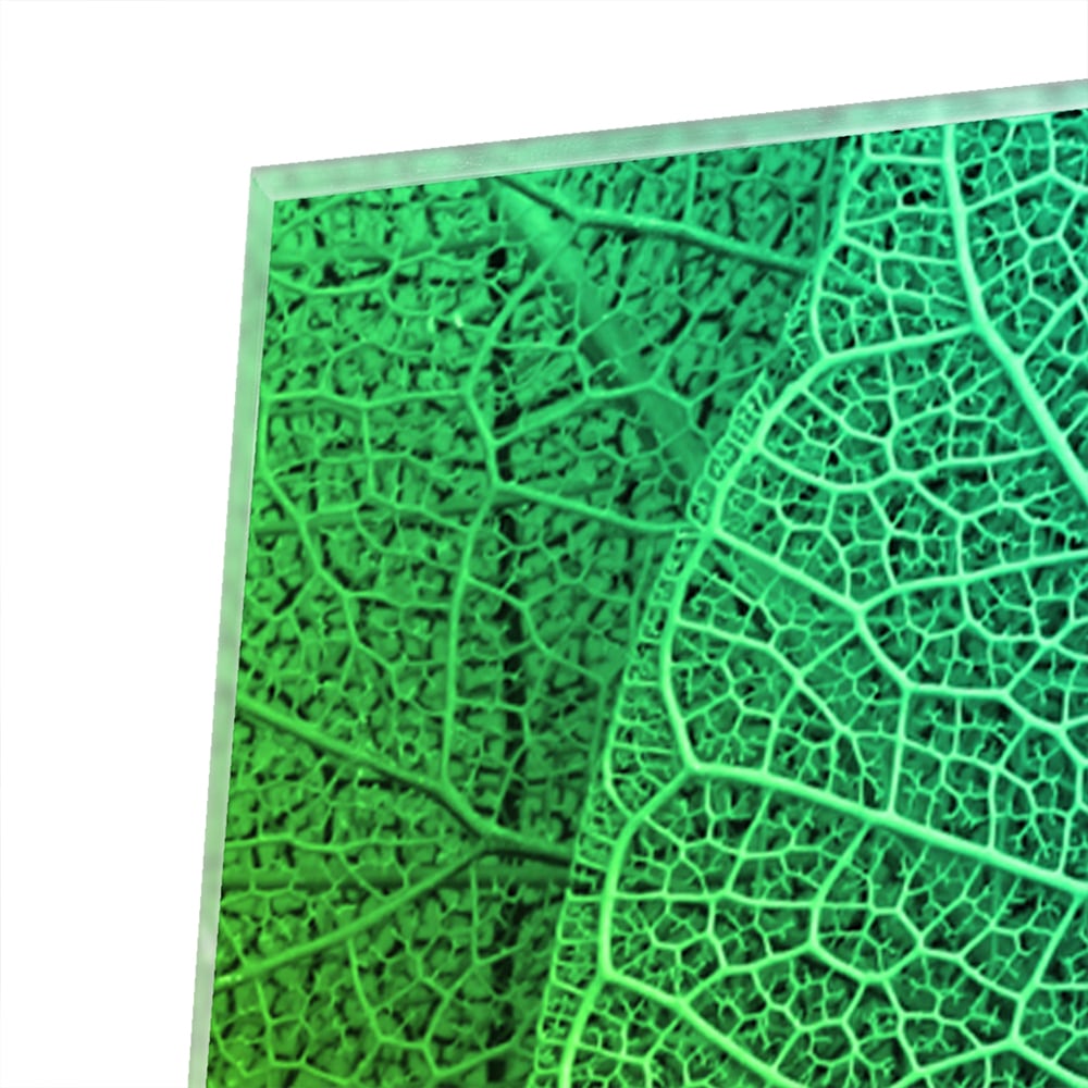 Glas schilderij met de structuur van groene bladeren aan een muur.
