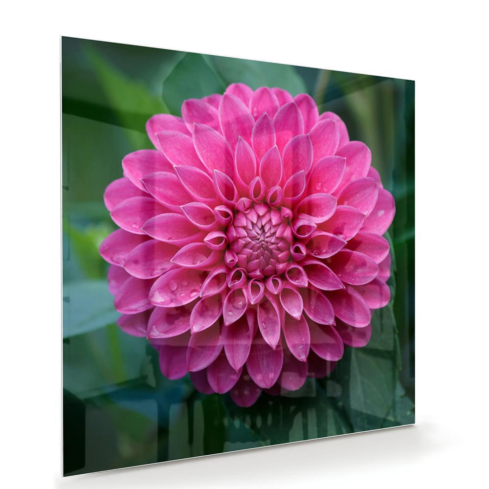 Glazen schilderij met een grote roze bloem, perfect voor wanddecoratie.