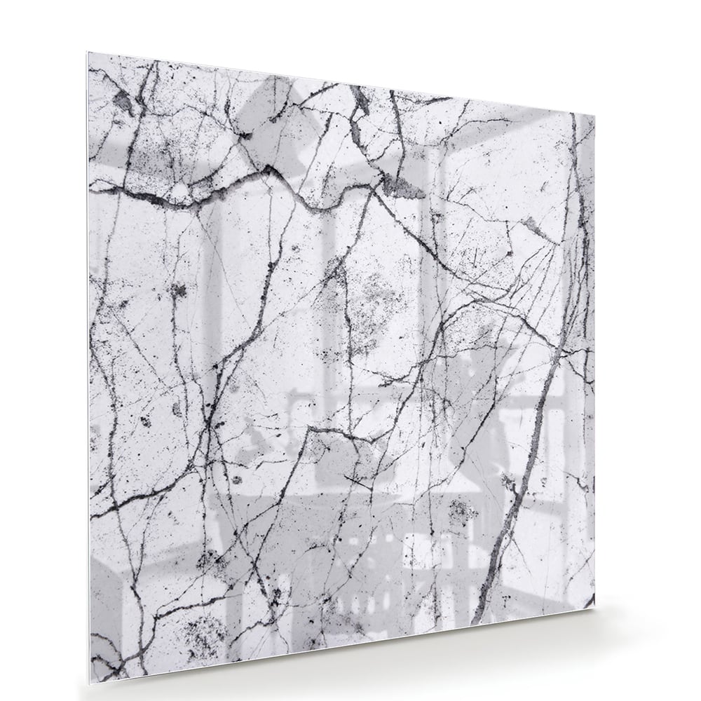 Abstract glazen schilderij met takkenstructuur in zwart-wit
