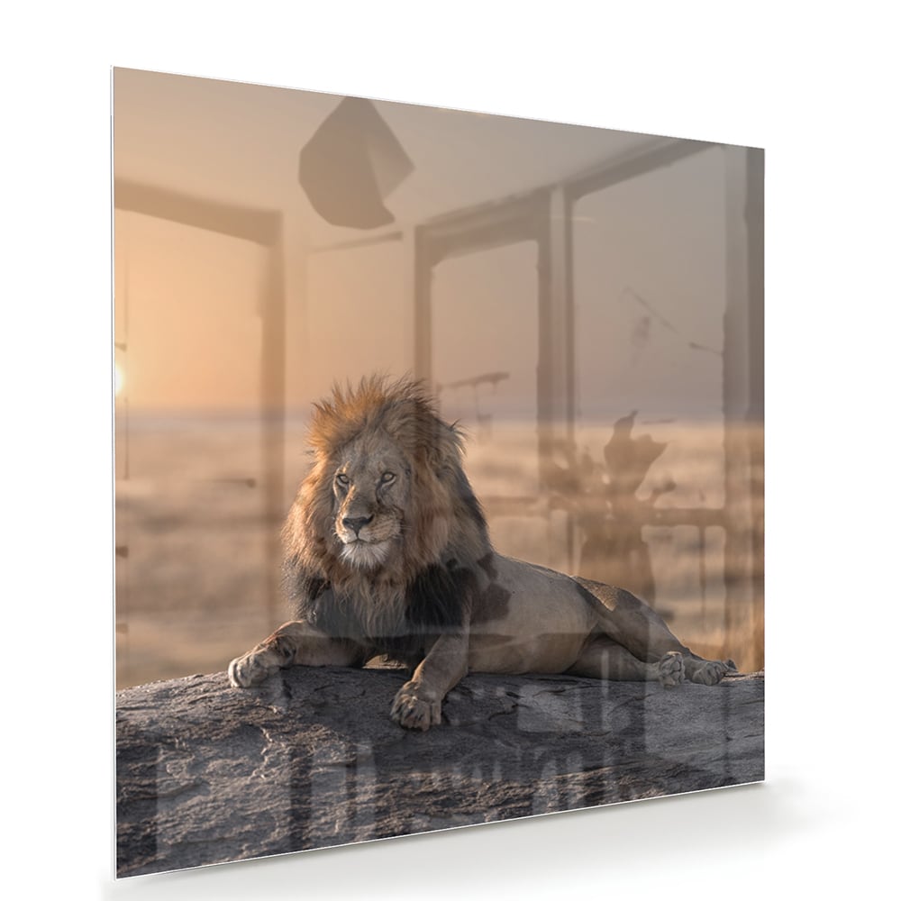 Glazen schilderij van een leeuw die op een rots ligt met zonsondergang op de achtergrond.