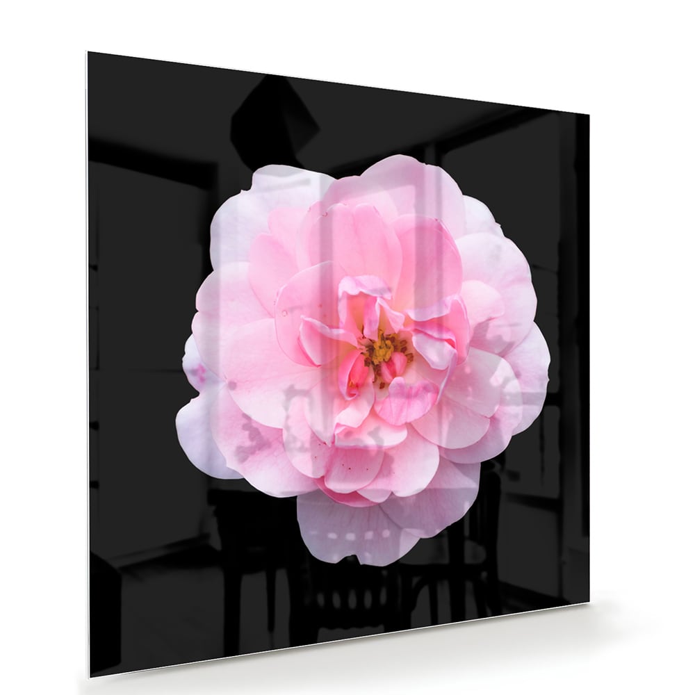 Glazen schilderij van een roze bloem op zwart glas, geschikt voor moderne interieurs.