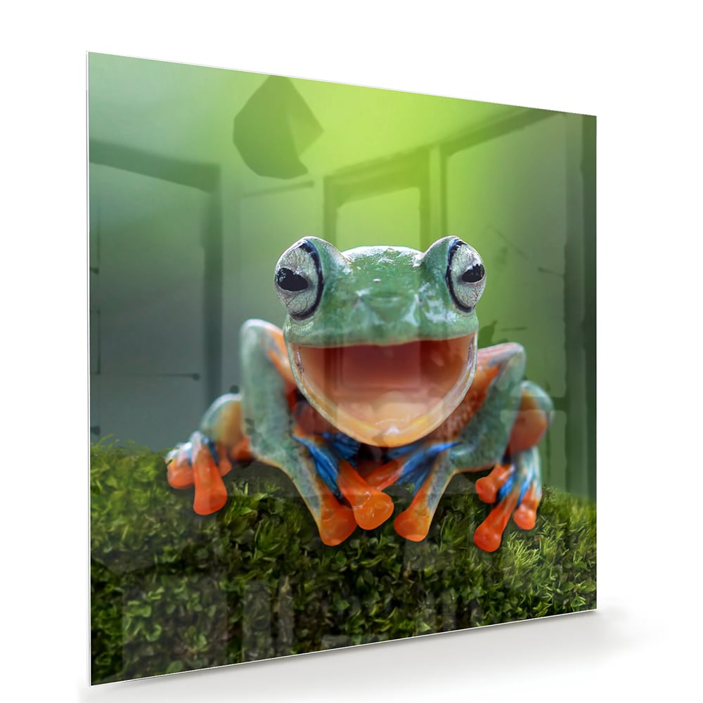 Glazen schilderij van een vrolijke boomkikker op een groene achtergrond