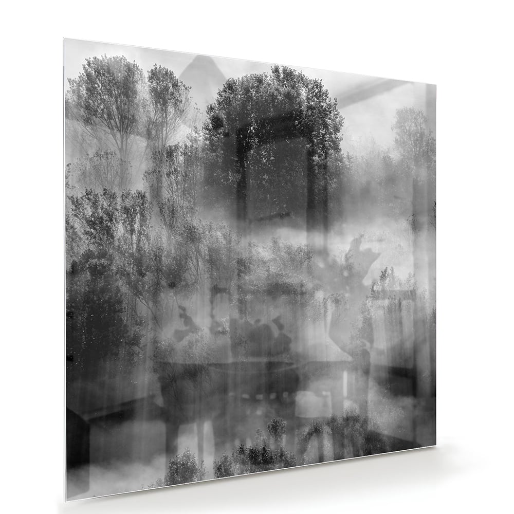 Glazen schilderij met een abstract zwart-wit landschap van bomen in de mist.