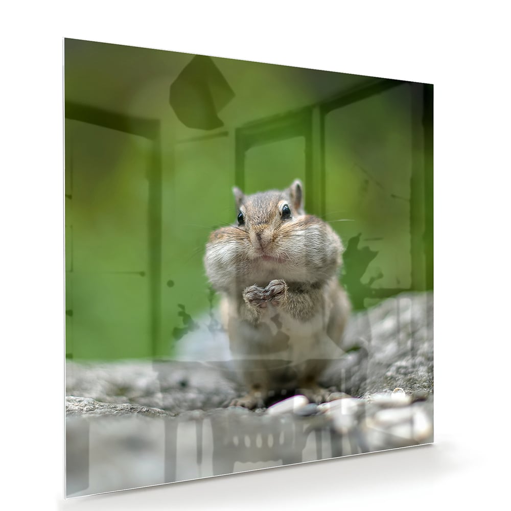 Glazen schilderij van een eekhoorn met een noot in zijn hand