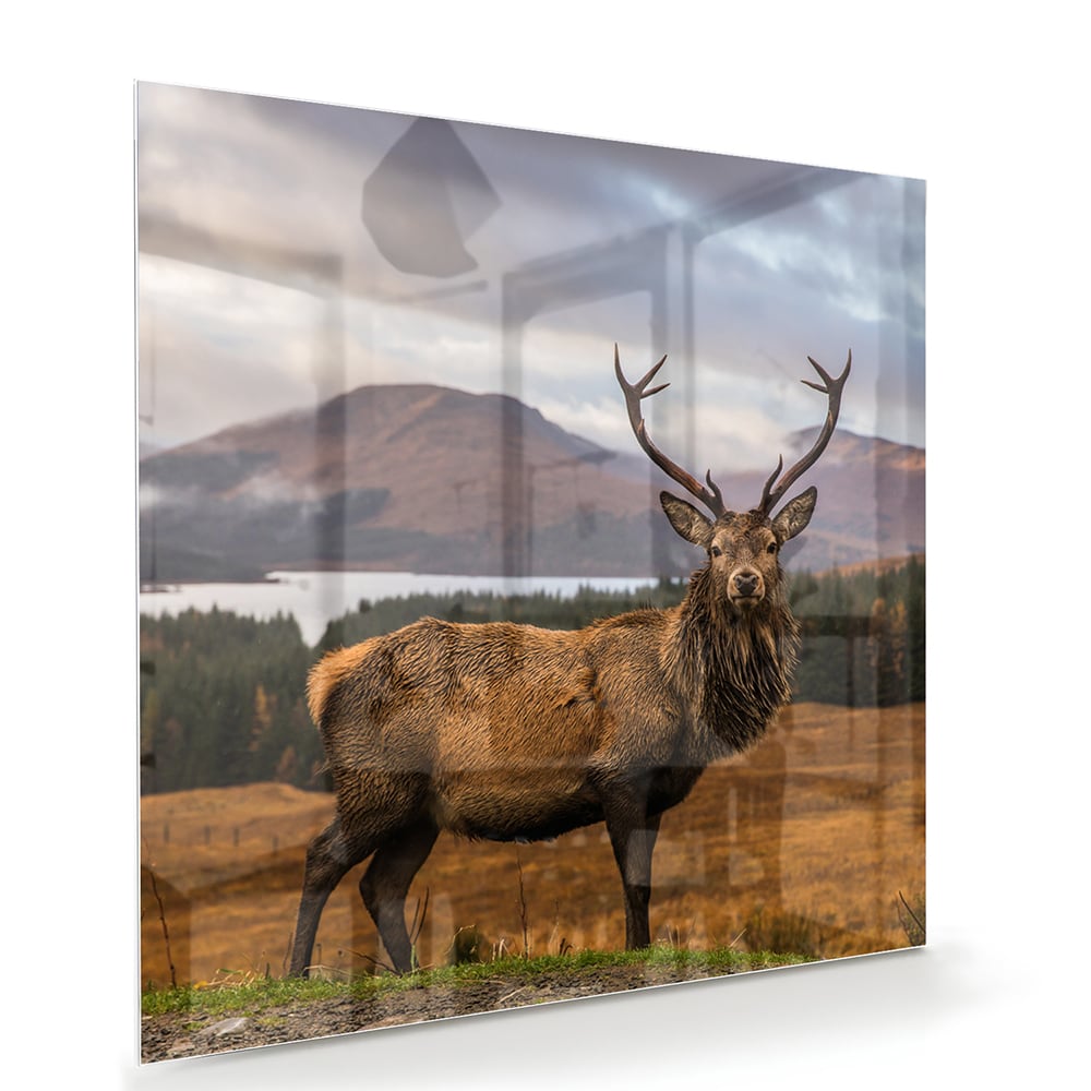 Glazen schilderij van een hert op een natuurlijke achtergrond.