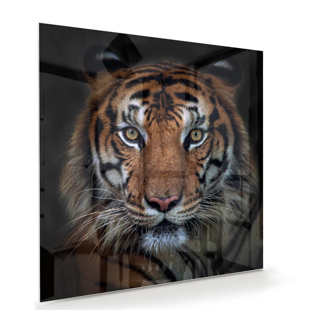 Glazen schilderij van een tijger, mooi weergegeven in een moderne woonkamer.