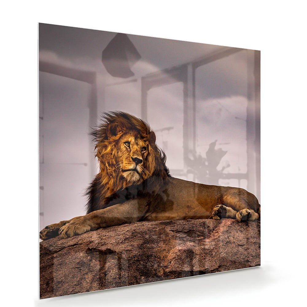 Glazenschilderij van een majestueuze leeuw op een rots, perfect voor interieurdecoratie.