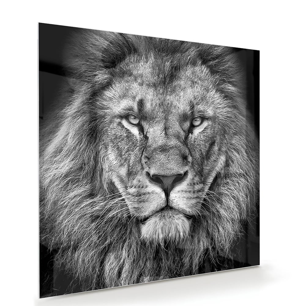 Glazen schilderij van een leeuw in zwart-wit, perfect voor wanddecoratie.