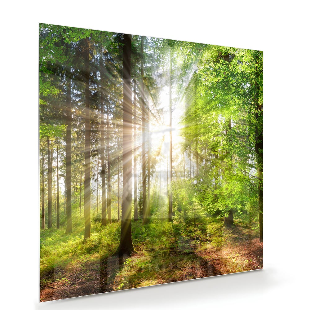 Glazen schilderij van een bos met zonnestralen op een muur.