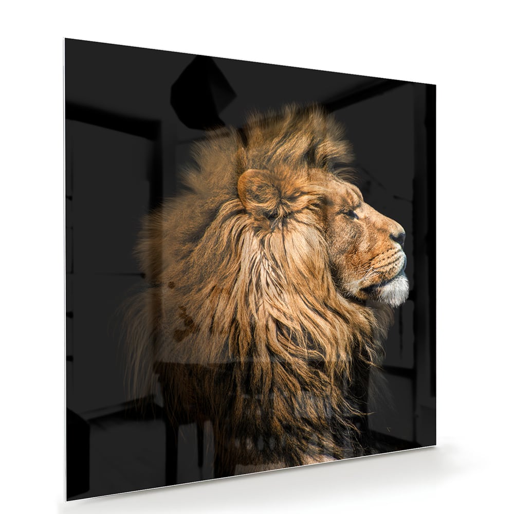Glazen schilderij van een leeuw met rijke, gouden manen tegen een zwarte achtergrond.